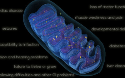 Alternative Treatment for Mitochondrial Diseases