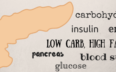 The Science Behind the LCHF Diet