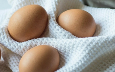 5 Reasons Why Grass-Fed is Best